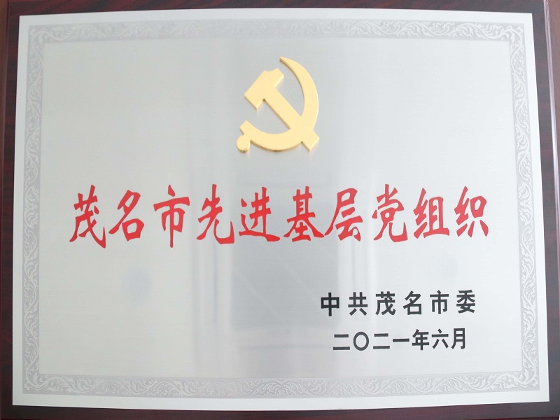 中共茂名市委关于表彰茂名市优秀共产党员、茂名市优秀党务工作者和茂名市先进基层党组织的决定（2021年6月） (2).jpg